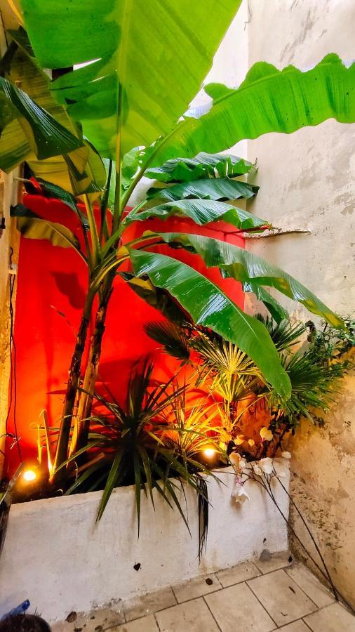 Votre Escale Jungle Sauna&Spa Niort Exterior foto